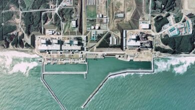 Photo of Ciencia: ¿qué tan radioactiva es el agua de Fukushima y cómo afectará a la fauna del mar?