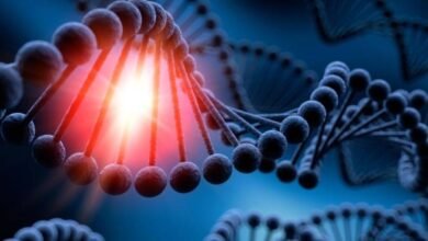 Photo of Científicos británicos tienen evidencia de que el ADN de los animales y humanos se puede recolectar desde el aire