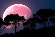 Photo of Superluna Rosa: ¿en qué países se verá el fenómeno astronómico de abril