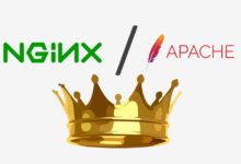 Photo of 25 años después, Apache ha perdido la corona del servidor web más usado en Internet: larga vida al rey Nginx