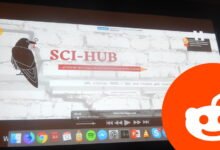 Photo of Una comunidad de Reddit se moviliza para 'salvar Sci-Hub' respaldando en la red Torrent toda su biblioteca de 'papers' científicos