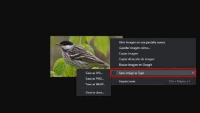 Photo of Para transformar imágenes a WebP, JPEG o PNG