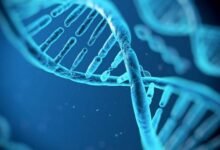 Photo of Harvard crea herramienta de edición de genes que competiría contra CRISPR
