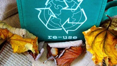 Photo of Ambiente: ¿contaminamos menos si usamos plásticos biodegradables?