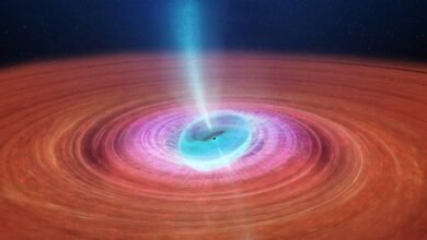 Photo of El choque nunca antes visto entre agujeros negros y estrellas de neutrones