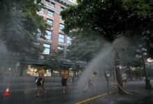 Photo of Así actúa el Domo de calor, el fenómeno que ha dejado más de 230 muertes súbitas en Canadá