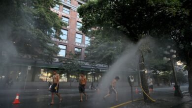 Photo of Así actúa el Domo de calor, el fenómeno que ha dejado más de 230 muertes súbitas en Canadá
