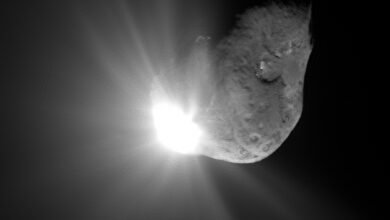 Photo of Espacio: así es el gigantesco cometa que acabamos de descubrir