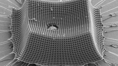 Photo of Científicos del MIT fabrican un material ultraligero que resiste impactos de micropartículas a velocidades supersónicas