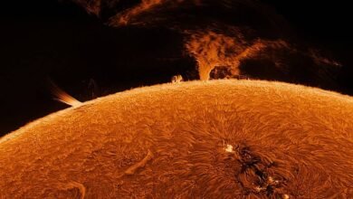 Photo of Una pequeña mancha atravesando la gigantesca estrella: NASA comparte una imagen de la ISS interponiéndose al Sol