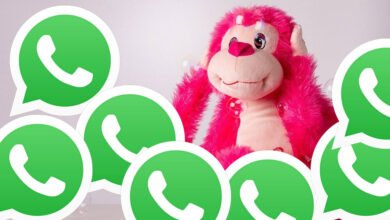 Photo of WhatsApp pronto podrá correr en cuatro dispositivos simultáneos