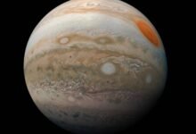 Photo of Un astrónomo amateur descubre que Júpiter tiene una luna nunca antes vista