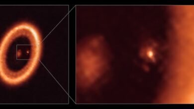 Photo of El radiotelescopio ALMA «ve» un disco formador de lunas alrededor de un planeta extrasolar a 400 años luz de nosotros