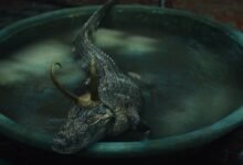 Photo of ¿De dónde salió el cocodrilo Loki y por qué destacó en el episodio 5?