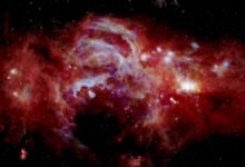 Photo of Científicos espaciales comparten sorprendentes imágenes de galaxias que lucen como explosiones de fuegos artificiales