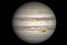 Photo of Espacio: Hubble detecta vapor de agua en satélite de Júpiter