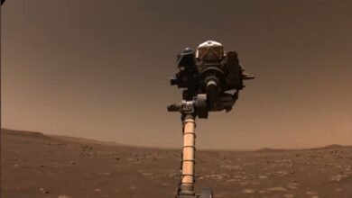 Photo of Brazo robótico listo: NASA anuncia que el Perseverance iniciará la búsqueda de señales de vida en Marte