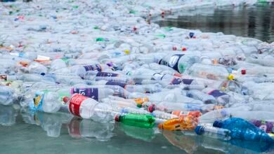 Photo of Ambiente: ¿todavía estamos a tiempo de detener la contaminación por plástico?