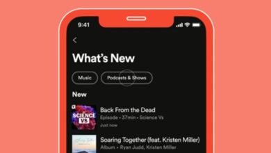 Photo of Spotify tiene un nuevo feed para que no pierdas los lanzamientos de tus artistas favoritos