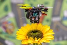 Photo of Abejas mecánicas: Científicos crean un pequeño dron polinizador
