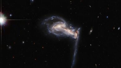 Photo of Telescopio Espacial Hubble capta una impresionante "batalla" gravitacional entre tres galaxias lejanas