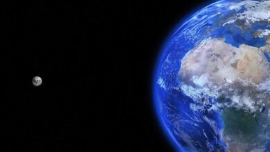 Photo of Curiosa teoría de científicos alemanes explica la manera en la que la Tierra se volvió habitable por el aumento del oxígeno en la atmósfera
