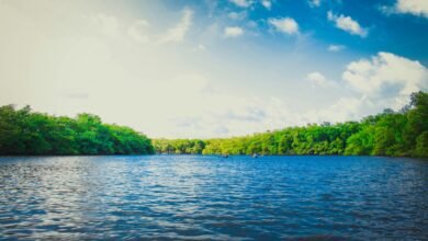 Photo of Estudio asegura que mirar ríos o paisajes azules puede mejorar la imagen corporal al restaurar los recursos psicológicos