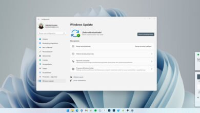 Photo of Windows 11 es inminente: cómo preparar tu PC con Windows 10 para actualizar sin problemas ni perder archivos