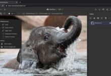 Photo of Photoshop e Ilustrator llegan a la web y otras novedades anuncias en Adobe Max 2021