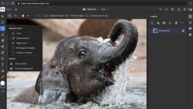 Photo of Photoshop e Ilustrator llegan a la web y otras novedades anuncias en Adobe Max 2021