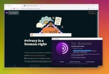Photo of Tor Browser 11 ya está disponible: la nueva versión del navegador anónimo llega con un gran diseño al estilo Proton de Firefox