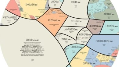 Photo of Esta web te muestra el tamaño real de cada idioma del mundo gracias a un mapa creado por un navarro