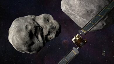 Photo of La NASA lanza la misión DART a chocar con un asteroide para ver si seríamos capaces de desviar uno en caso de necesidad
