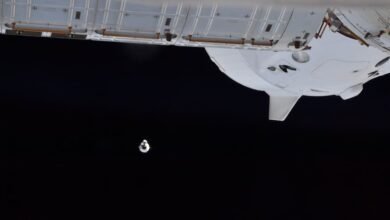 Photo of La cápsula de carga Dragon 24 ya está en la Estación Espacial Internacional