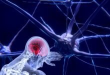 Photo of Neuralink, la compañía de chips cerebrales de Elon Musk, comenzará ensayos clínicos con humanos