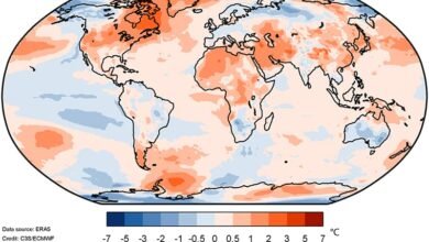 Photo of Los siete años más cálidos en todo el mundo desde que existen registros han sido los últimos siete