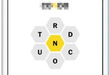 Photo of Spelling Bee, otro rompecabezas de buscar palabras en inglés, y Paraulògic y Berbaxerka, sus equivalentes en catalán y euskera