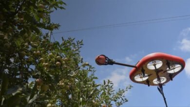Photo of El dron que se usará para recoger manzanas en España