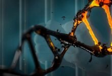 Photo of Científicos consiguen análisis de ADN en tiempo récord, para acelerar diagnósticos clínicos