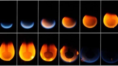 Photo of Científicos de la NASA quieren comprender cómo funciona el fuego en el espacio