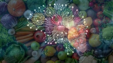 Photo of Inteligencia Artificial para cultivar mejores frutas y verduras