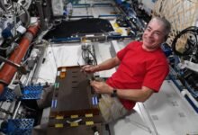 Photo of Mark Vande Hei rompe el récord de permanencia continua en el espacio de la NASA