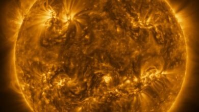 Photo of La Solar Orbiter consigue la imagen completa del Sol con más resolución hasta la fecha