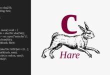 Photo of Presentan el lenguaje Hare, "ideal para crear sistemas operativos": sus creadores buscan sustituir a C simplificándolo