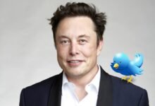 Photo of Elon Musk mira al pajarito…