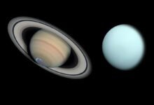Photo of Informe sugiere a la NASA explorar Urano y una de las lunas de Saturno en búsqueda de vida extraterrestre