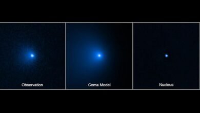 Photo of Hubble encuentra el núcleo más grande jamás encontrado en un cometa
