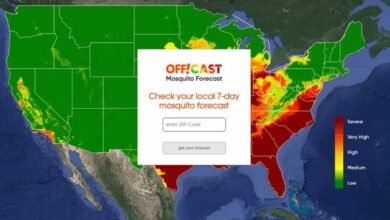 Photo of La nueva herramienta de Google puede predecir poblaciones de mosquitos