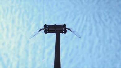 Photo of Luciérnagas robóticas que pueden rastrearse y comunicarse con emisiones de luz