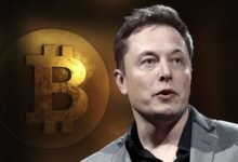 Photo of Elon Musk ya se ha deshecho del 75% de los Bitcoin que tenía Tesla, mientras la criptomoneda pierde su valor